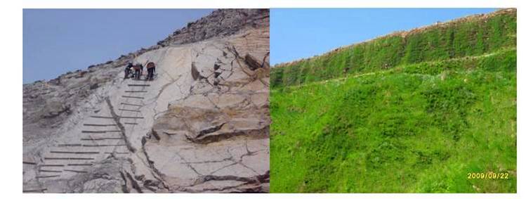 济南岩质边坡喷播高次团粒绿化